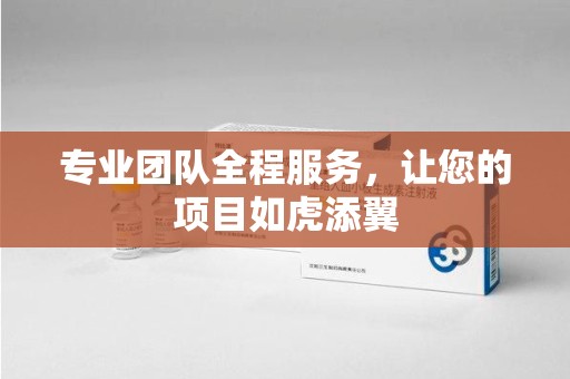 济南专业团队全程服务，让您的项目如虎添翼