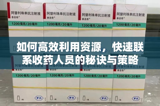 济南如何高效利用资源，快速联系收药人员的秘诀与策略