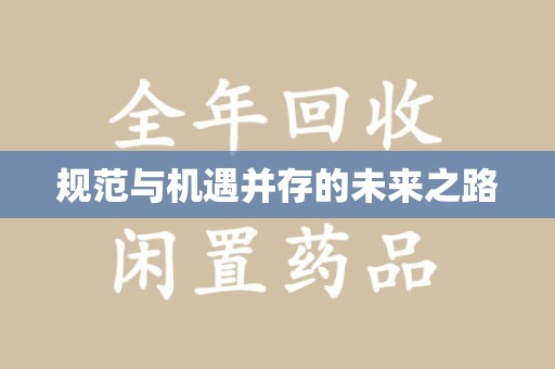 济南规范与机遇并存的未来之路