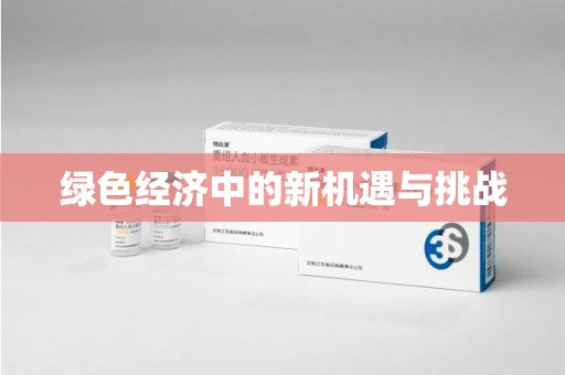济南绿色经济中的新机遇与挑战